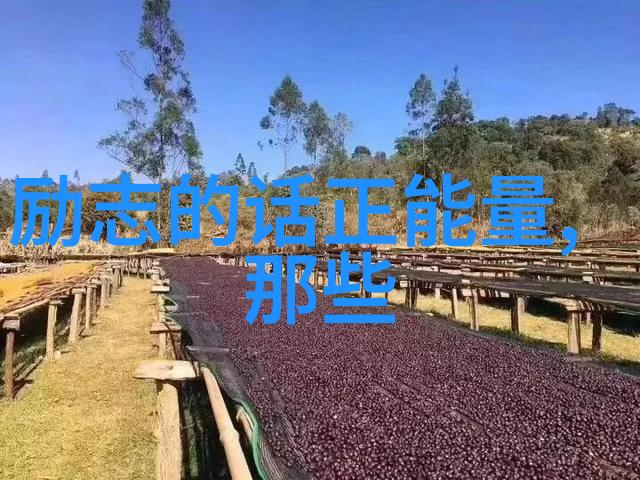 狂风落尽深红色绿叶成阴子满枝